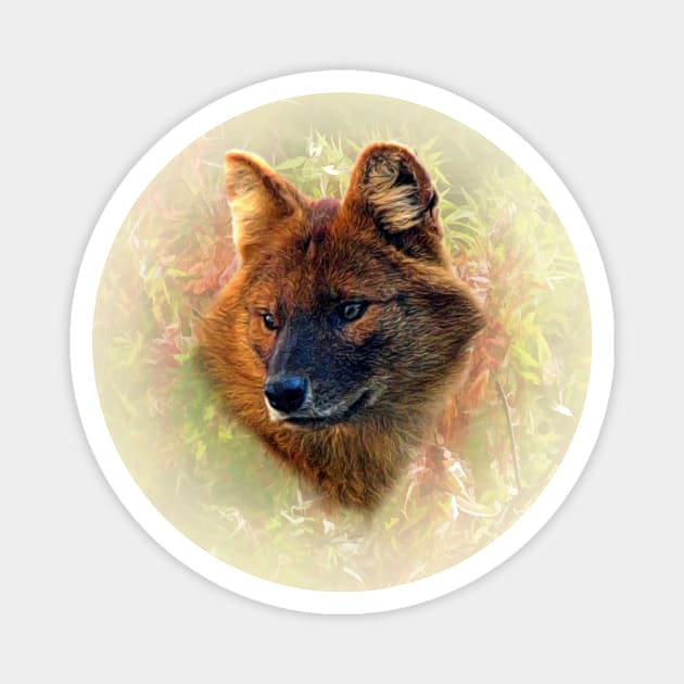 Asian wild dog Magnet by Guardi